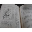画像9: 中国大陸徒歩四六〇〇キロの戦場体験（独立歩兵第九十四大隊） (9)