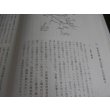 画像14: 果敢砲兵隊の思い出 　 独立混成第七十旅団砲兵隊 隊員の手記 (14)