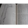 画像15: 鯨歩兵第二百三十四聯隊第十二中隊史　戦場の片隅に青春をささげつくして (15)