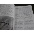 画像6: 第2次大戦　世界の戦闘機隊　付・エース列伝 (6)