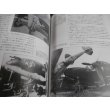 画像12: 太平洋戦線のP-38ライトニングエース（世界の戦闘機エース13） (12)