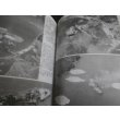 画像6: 伊勢型戦艦　歴史群像太平洋戦争シリーズ26 (6)